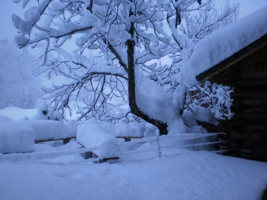 Haus Schoenleiten ヴァークライン エクステリア 写真