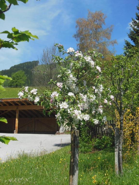 Haus Schoenleiten ヴァークライン エクステリア 写真